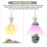 Pendant light with adjustable bulbs for different uses on a white background